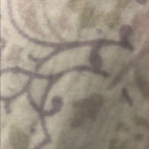 Meet your Posher, Celina